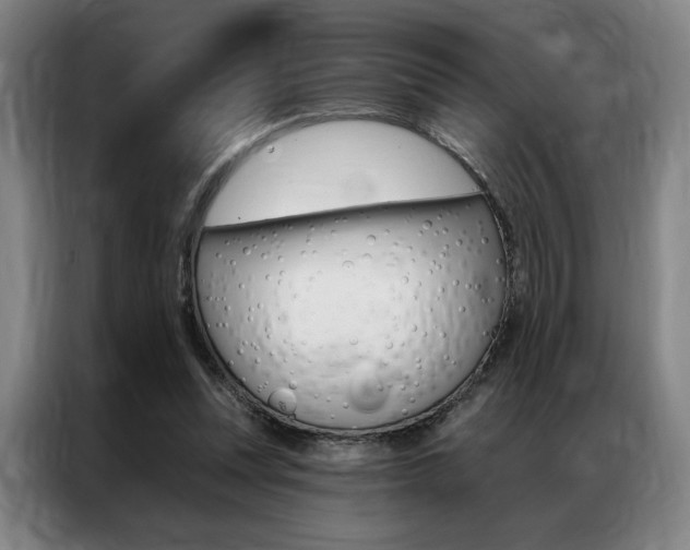 X0000087350351200704200809