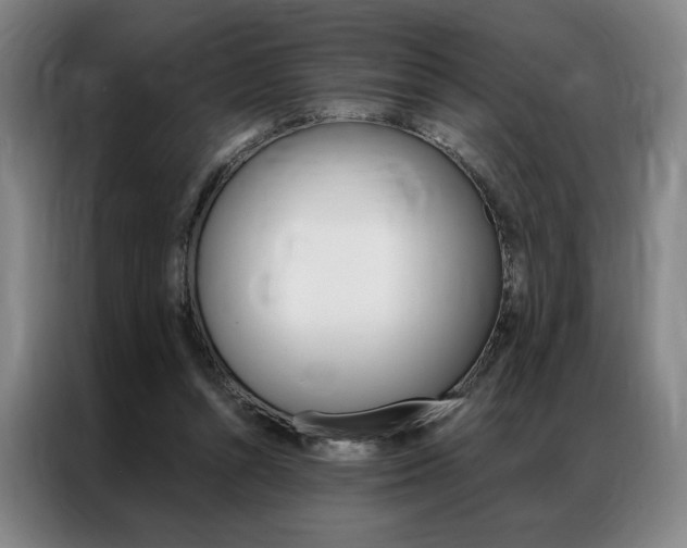 X0000087350352200704200809