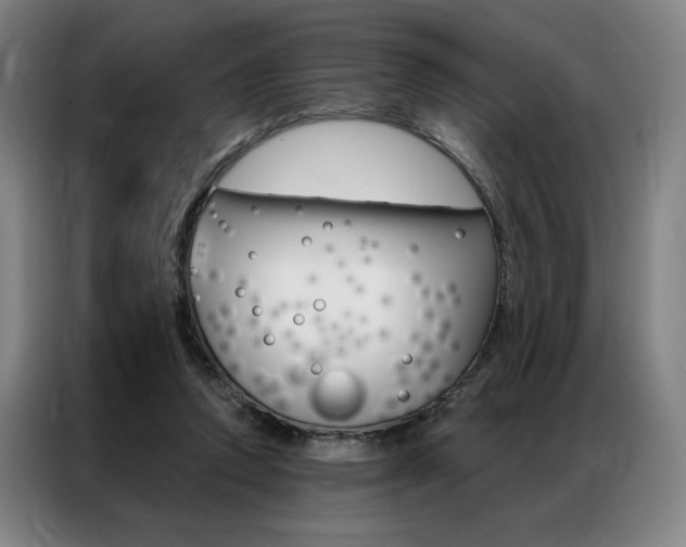 X0000087350354200704200809