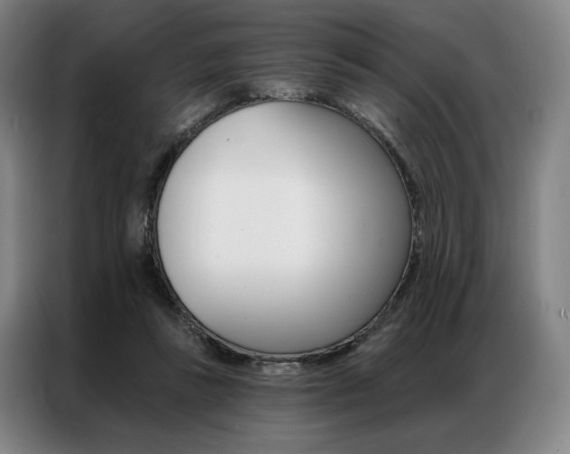 X0000087350355200704200809