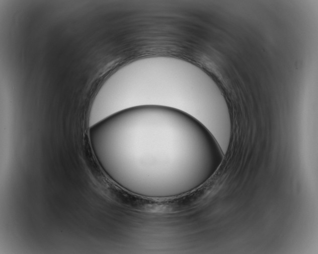 X0000087350356200704200809