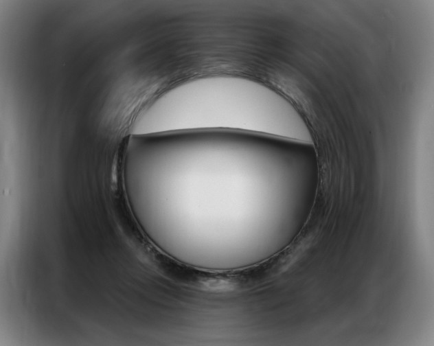 X0000087350358200704200809