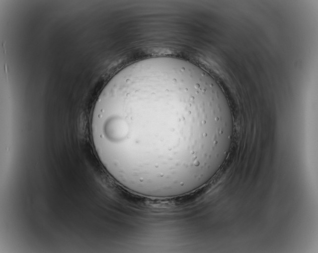 X0000087350359200704200809
