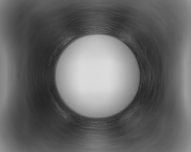 X0000087350360200704200809