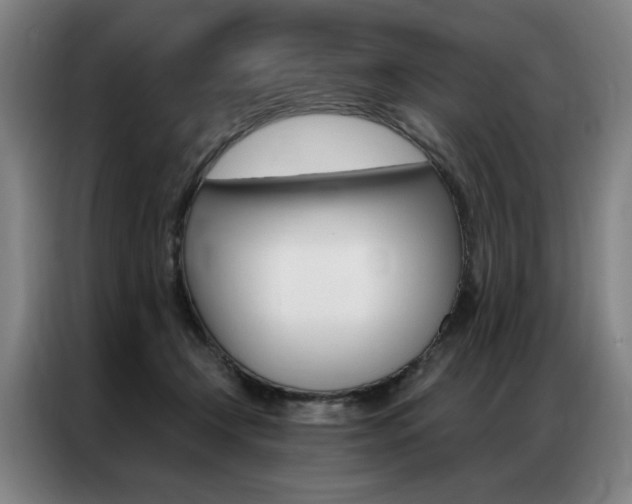X0000087350366200704200809
