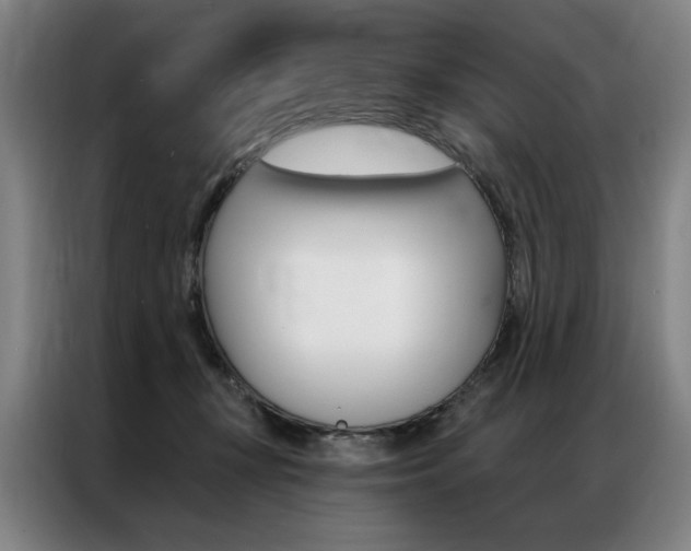 X0000087350367200704200809
