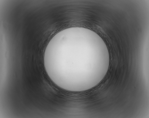 X0000087350368200704200809