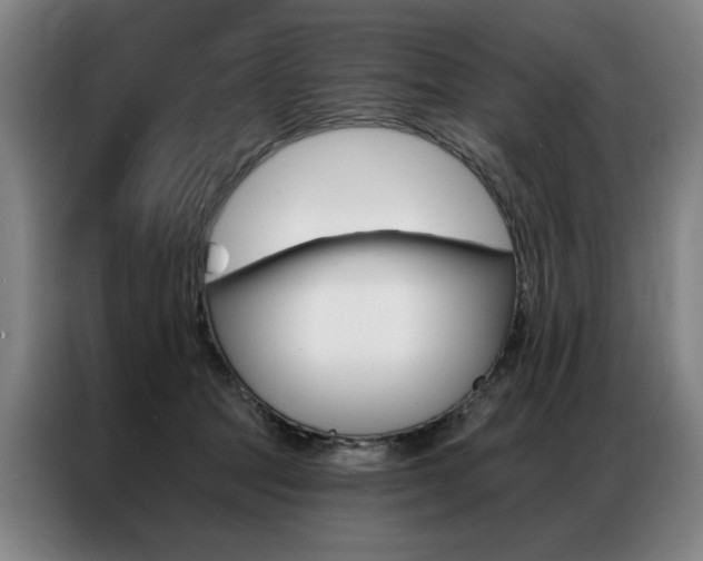 X0000087350369200704200809