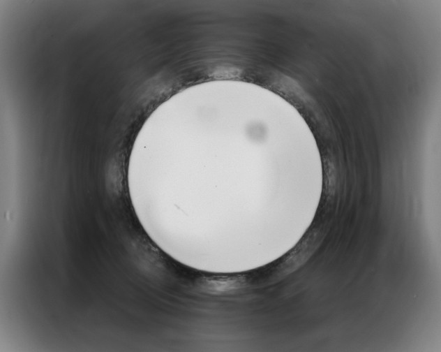 X0000087350370200704200809