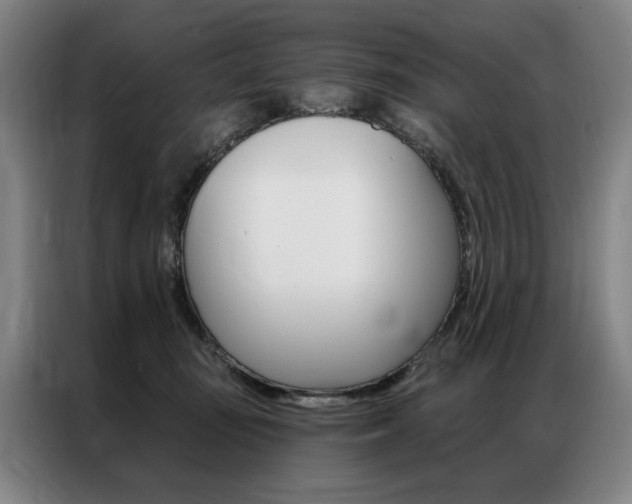 X0000087350371200704200809