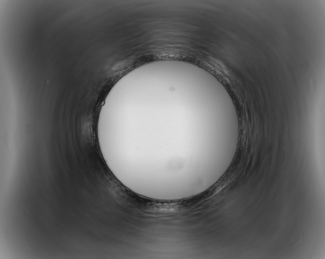 X0000087350377200704200809