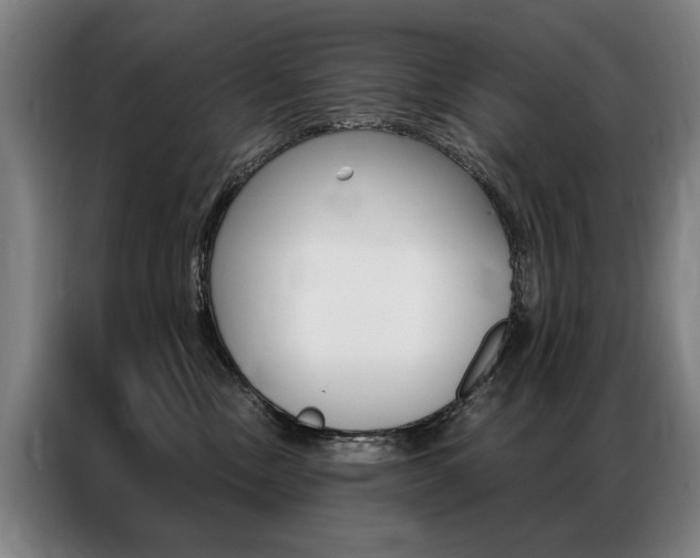 X0000087350378200704200809