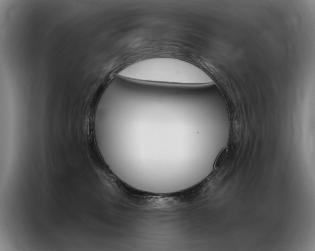 X0000087350379200704200809