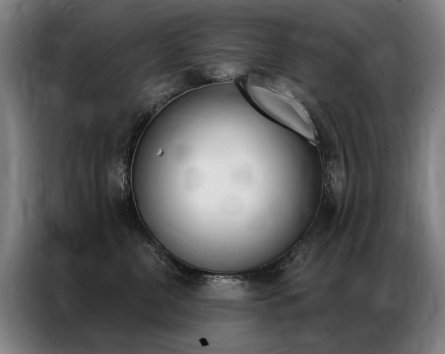 X0000087350380200704200809