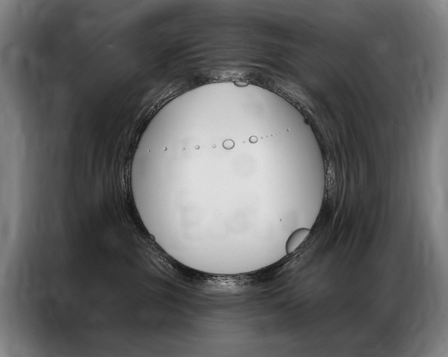 X0000087350381200704200809