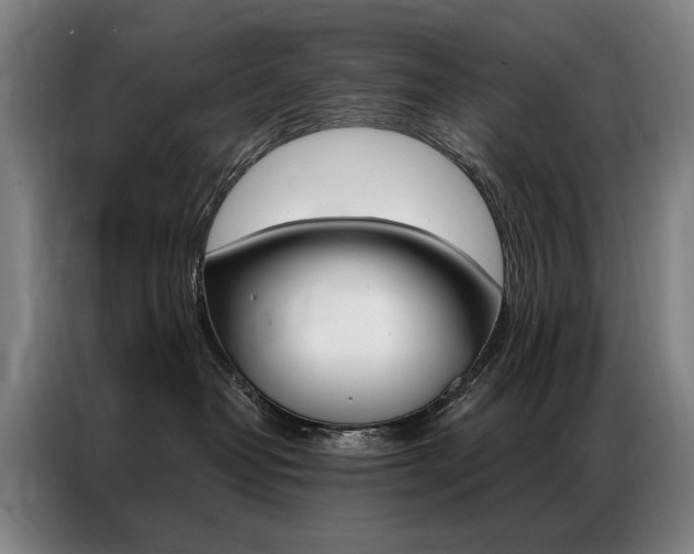 X0000087350382200704200809