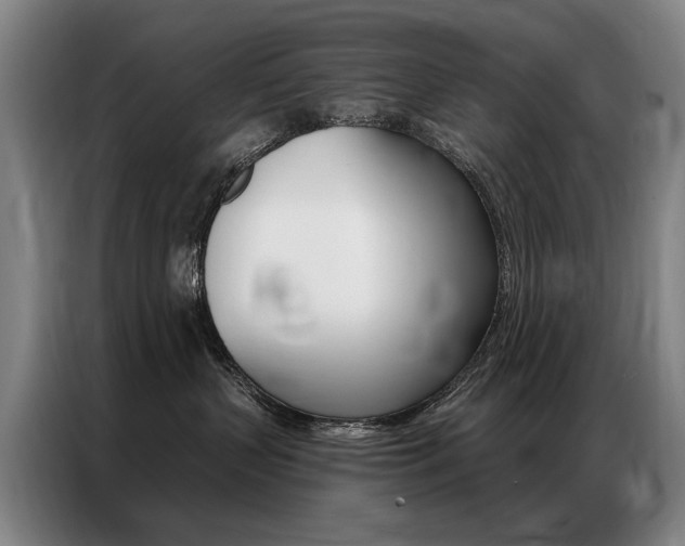 X0000087350383200704200809
