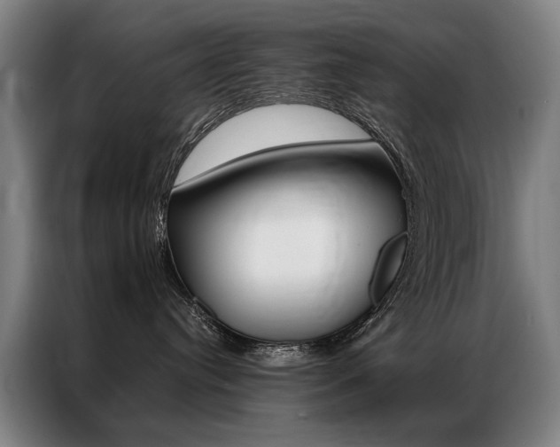 X0000087350384200704200809