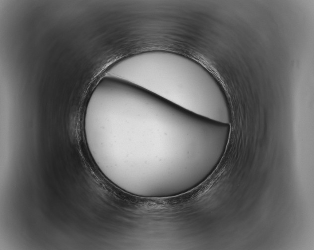 X0000087350386200704200809