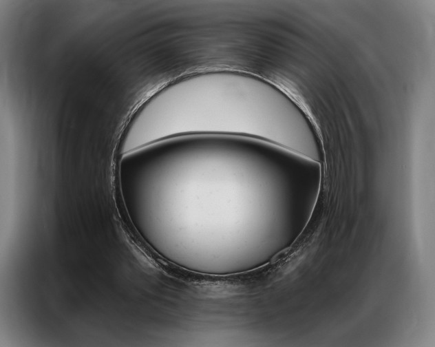 X0000087350389200704200809