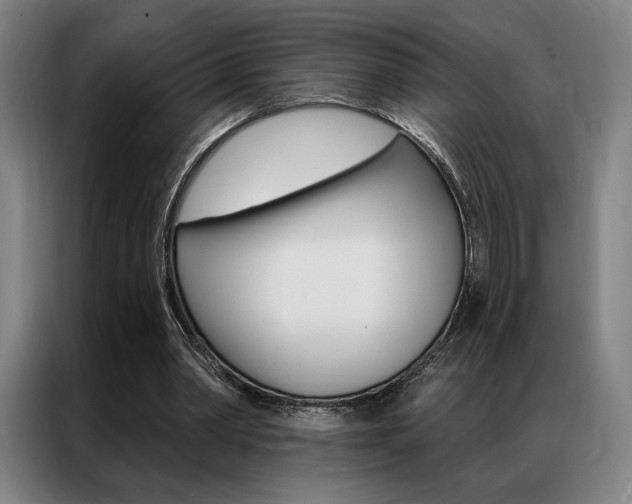 X0000087350390200704200809