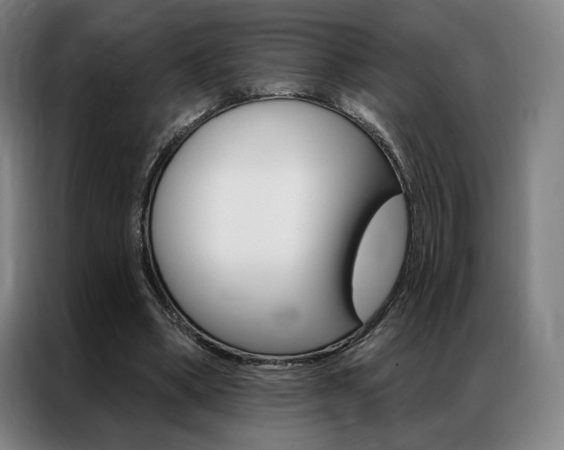 X0000087350394200704200809