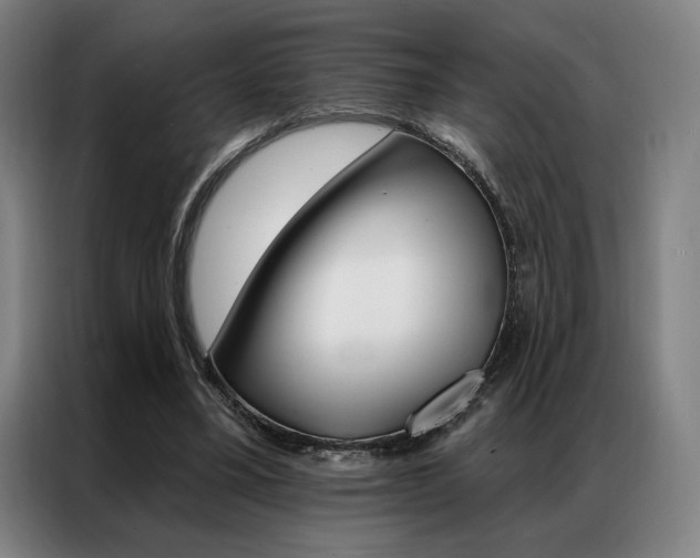 X0000087350395200704200809