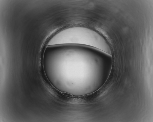 X0000087350399200704200809