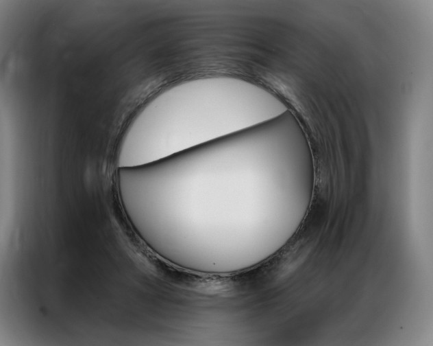 X0000087350402200704200809