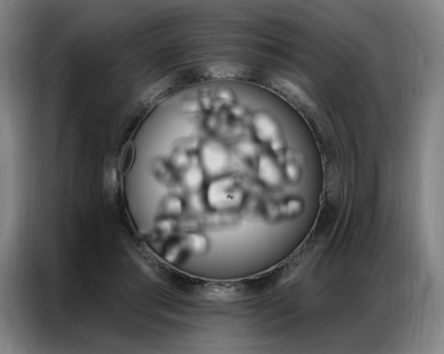 X0000087350405200704200809