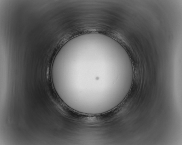 X0000087350406200704200809