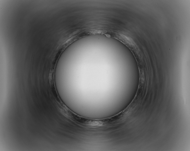 X0000087350409200704200808