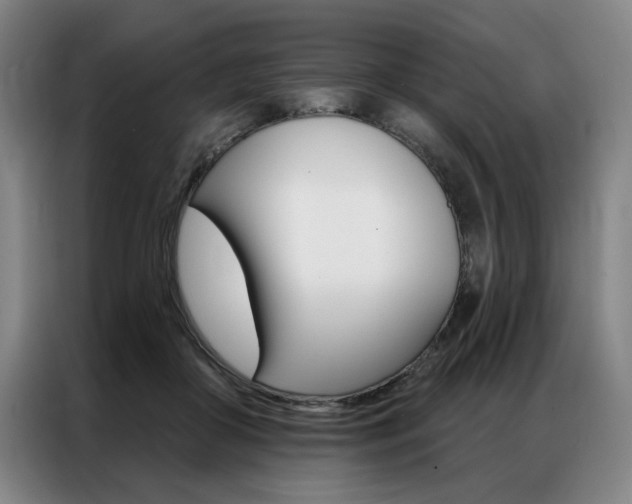 X0000087350410200704200808