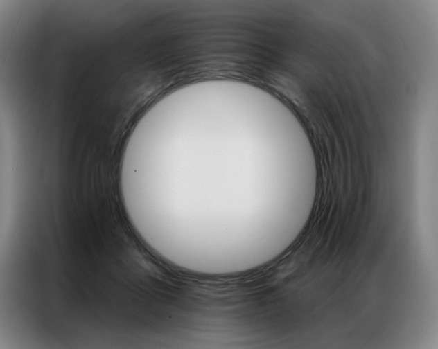 X0000087350411200704200808