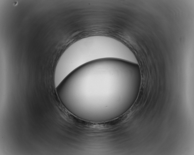 X0000087350413200704200808