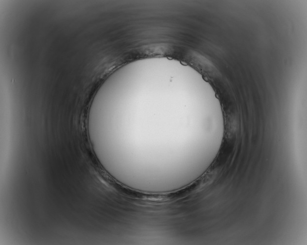 X0000087350414200704200808