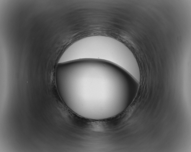 X0000087350417200704200808
