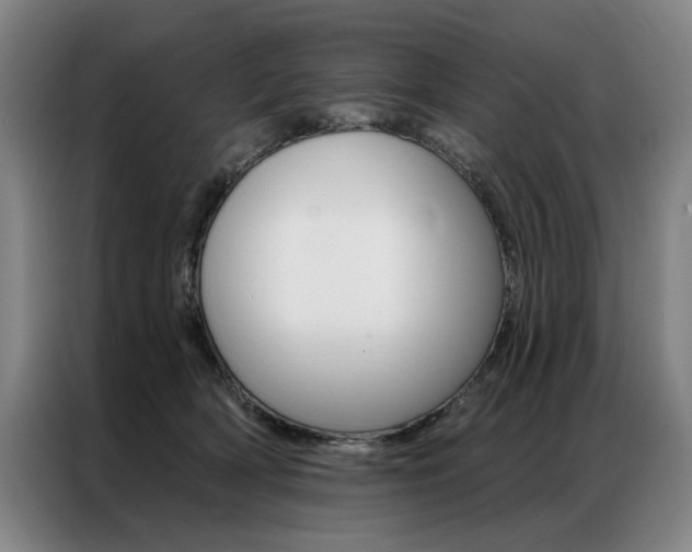 X0000087350418200704200808