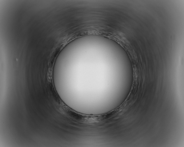 X0000087350419200704200808