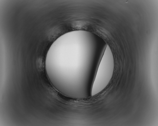 X0000087350420200704200808