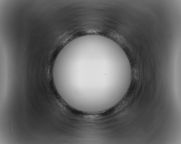 X0000087350422200704200808