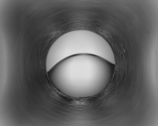 X0000087350423200704200808