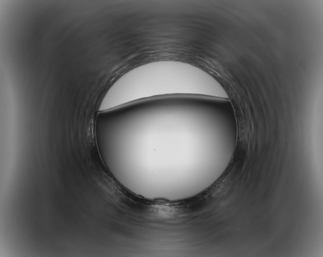 X0000087350425200704200808
