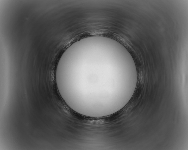 X0000087350426200704200808