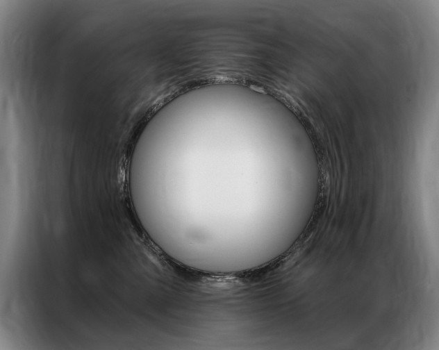 X0000087350427200704200808