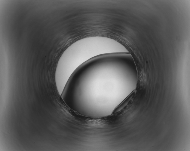 X0000087350428200704200808