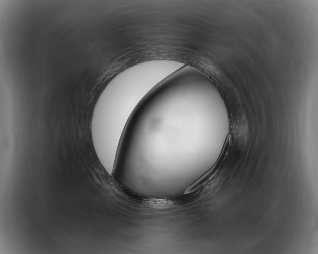X0000087350429200704200808