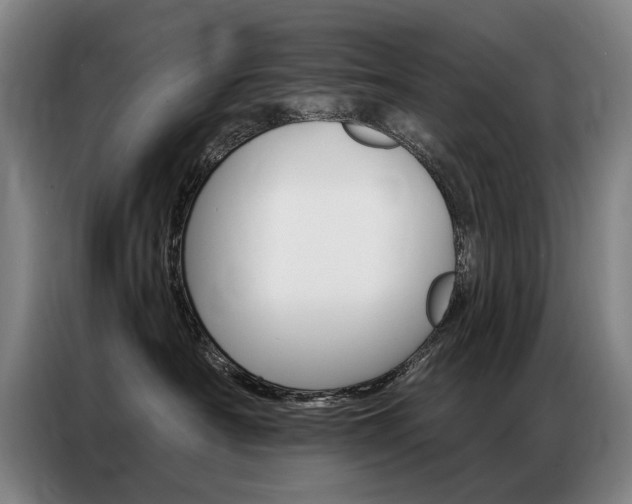 X0000087350430200704200808