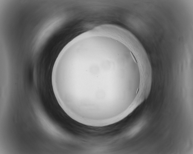 X0000087350431200704200808