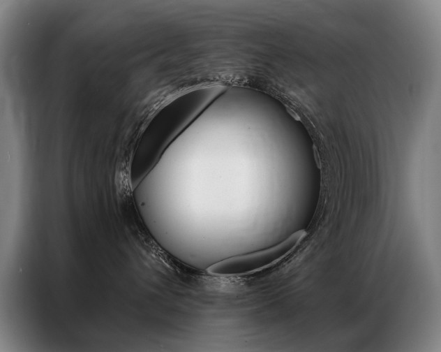 X0000087350432200704200808